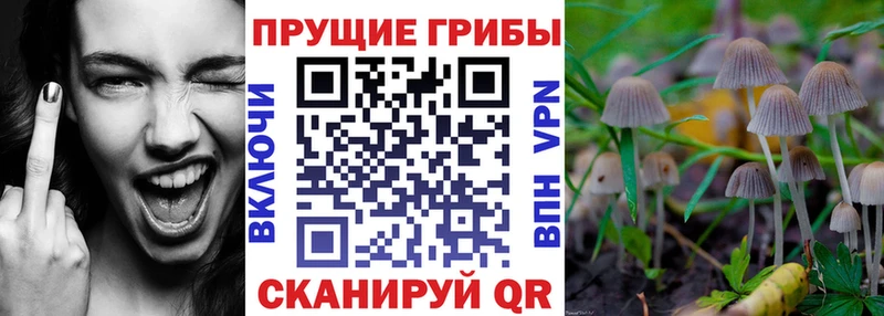 Псилоцибиновые грибы мухоморы  KRAKEN ТОР  Туринск 